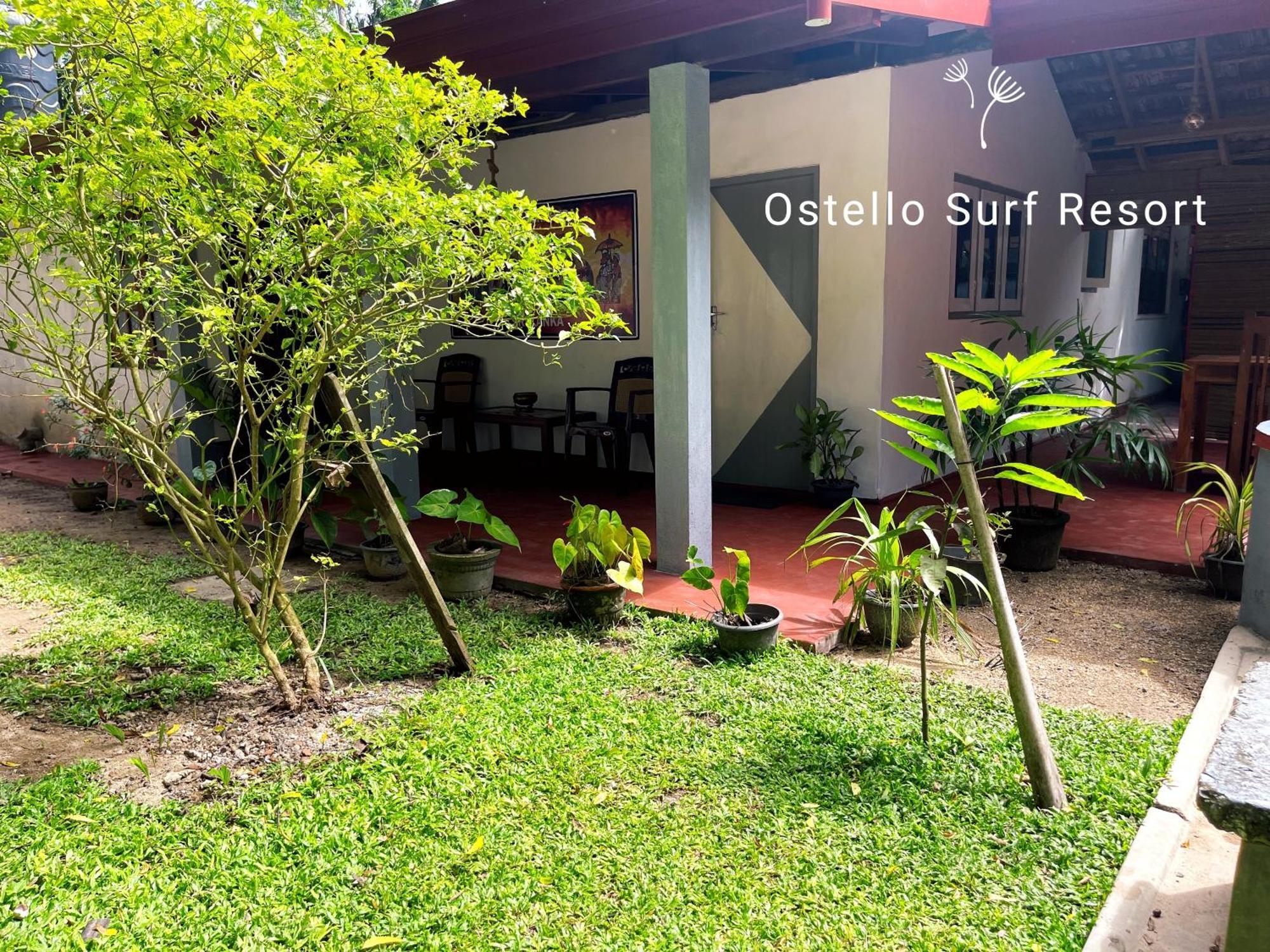 Ostello Surf Resort Ahangama Pokoj fotografie